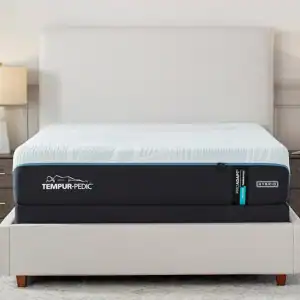 A Tempur-Pedic TEMPUR-ProAdapt® 12" Medium Hybrid mattress on a simple bed frame in a serene bedroom setting, flanked by matching lamps on nightstands, emphasizing comfort and a minimalist style.