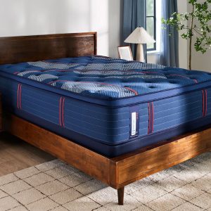 A modern bedroom with a wooden bed frame topped by a thick, blue-striped Sealy Posturepedic® Elite Brenham II 16" Medium Euro Top Mattress, beside a wooden nightstand, lamp, window with blue curtains, green plant, and light rug.