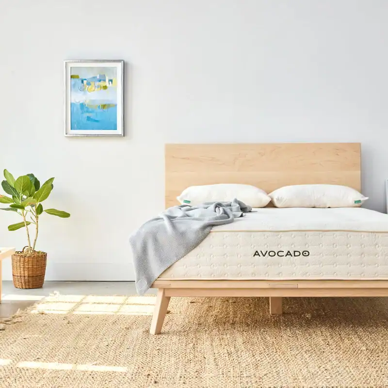 Minimalist bedroom with a wooden bed frame, an Avocado Organic 11&Prime; Hybrid Mattress &ndash; Medium Organic Latex Hybrid Mattress, two pillows, a gray blanket, a potted plant, a jute rug, and a blue abstract painting on a white wall.